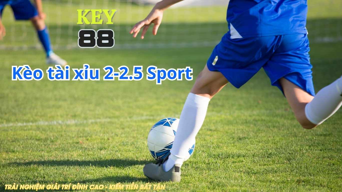 Cách thức tính tiền ở kèo tài xỉu 2-2.5 là gì? Cách thức tính tiền ở kèo tài xỉu 2-2.5 là gì?